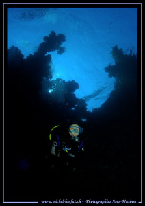Diving the Red Sea... :O)... by Michel Lonfat 